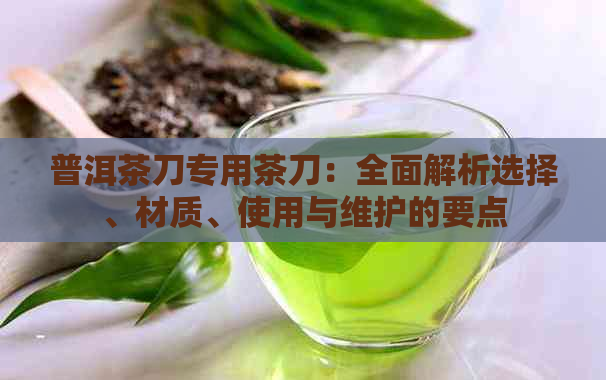 普洱茶刀专用茶刀：全面解析选择、材质、使用与维护的要点