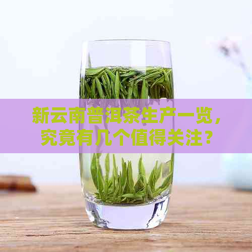 新云南普洱茶生产一览，究竟有几个值得关注？