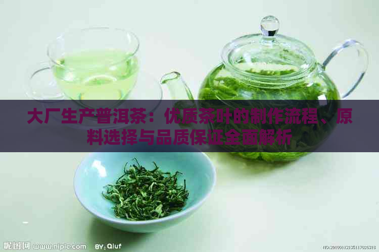 大厂生产普洱茶：优质茶叶的制作流程、原料选择与品质保证全面解析