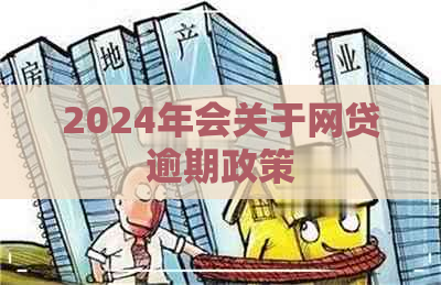 2024年会关于网贷逾期政策