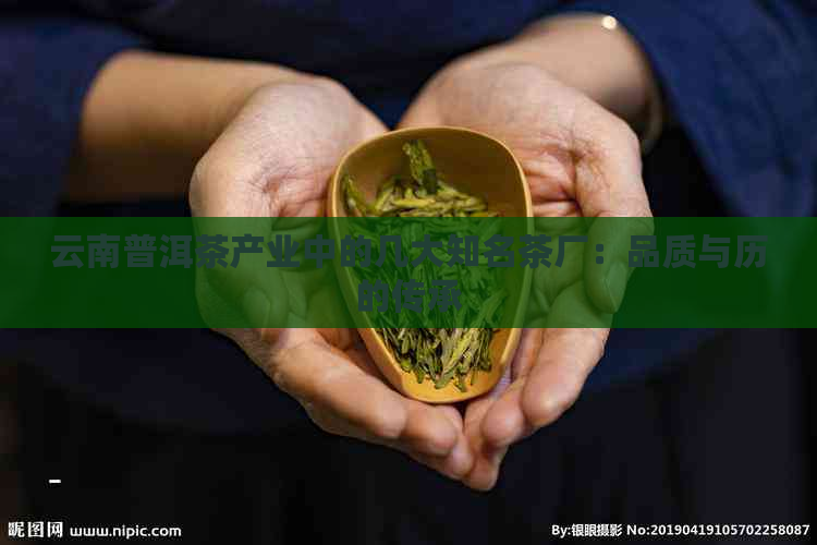 云南普洱茶产业中的几大知名茶厂：品质与历的传承