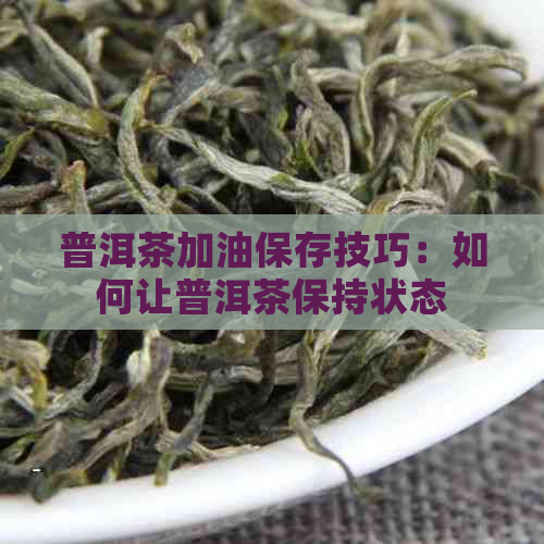 普洱茶加油保存技巧：如何让普洱茶保持状态