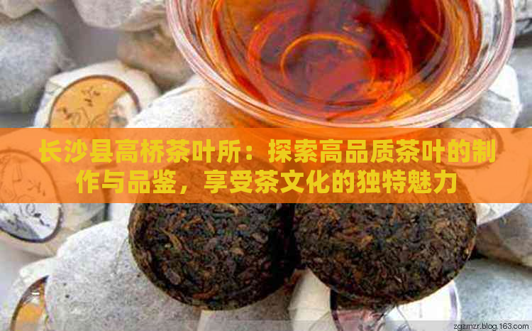 长沙县高桥茶叶所：探索高品质茶叶的制作与品鉴，享受茶文化的独特魅力