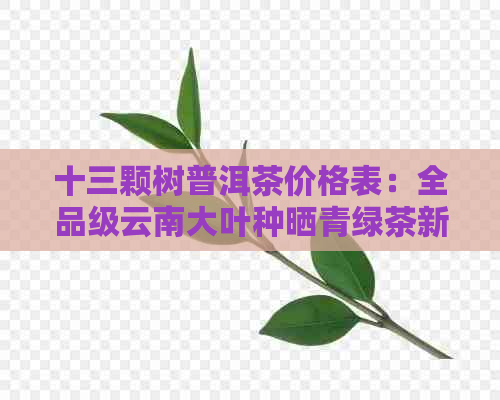 十三颗树普洱茶价格表：全品级云南大叶种晒青绿茶新报价