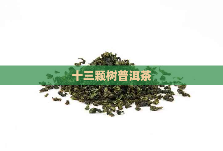 十三颗树普洱茶