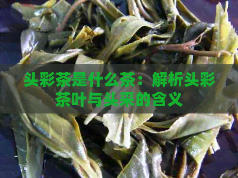 头彩茶是什么茶：解析头彩茶叶与头采的含义