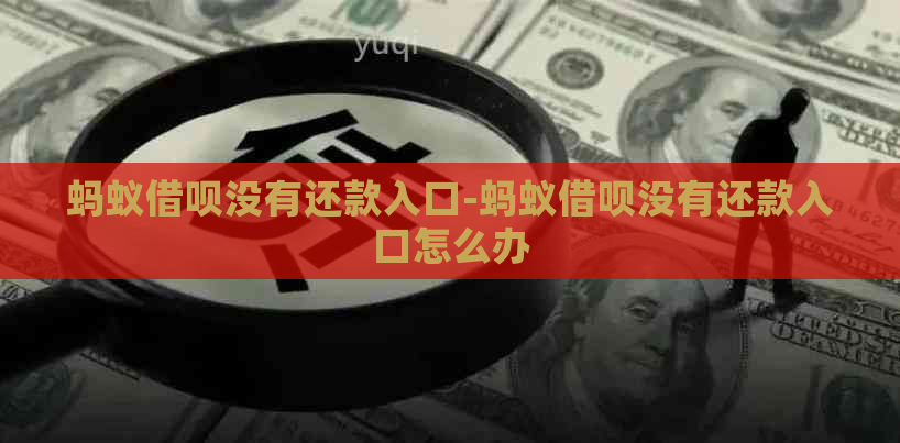 蚂蚁借呗没有还款入口-蚂蚁借呗没有还款入口怎么办