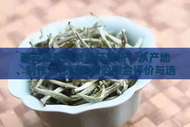 雅安藏茶品质特征解析：从产地、制作工艺到口感的综合评价与选购指南