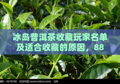 冰岛普洱茶收藏玩家名单及适合收藏的原因，88万冰岛普洱茶拍卖引发关注。