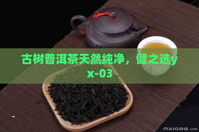 古树普洱茶天然纯净，健之选yx-03