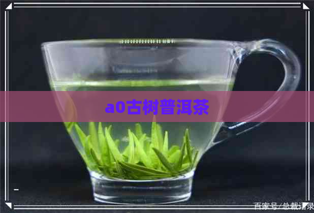 a0古树普洱茶