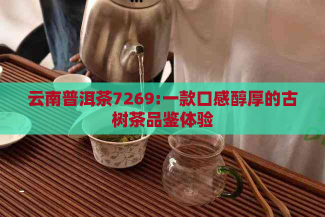 云南普洱茶7269:一款口感醇厚的古树茶品鉴体验