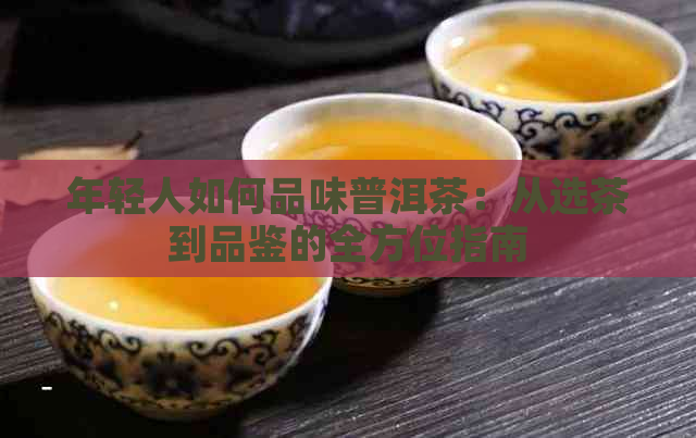 年轻人如何品味普洱茶：从选茶到品鉴的全方位指南