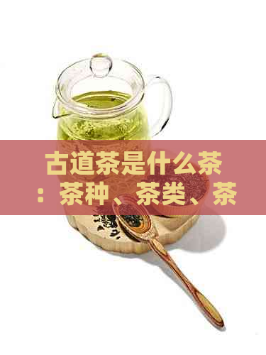 古道茶是什么茶：茶种、茶类、茶叶及种类解析