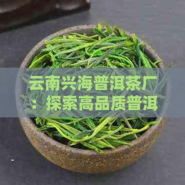 云南兴海普洱茶厂：探索高品质普洱茶的诞生之地与故事