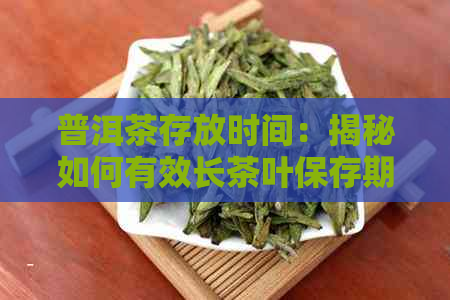 普洱茶存放时间：揭秘如何有效长茶叶保存期限