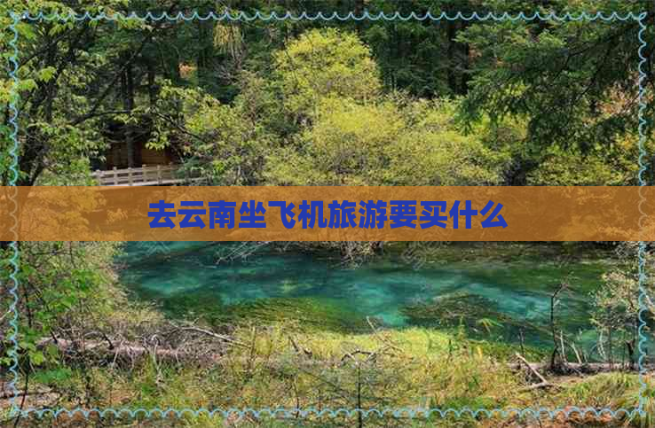 去云南坐飞机旅游要买什么