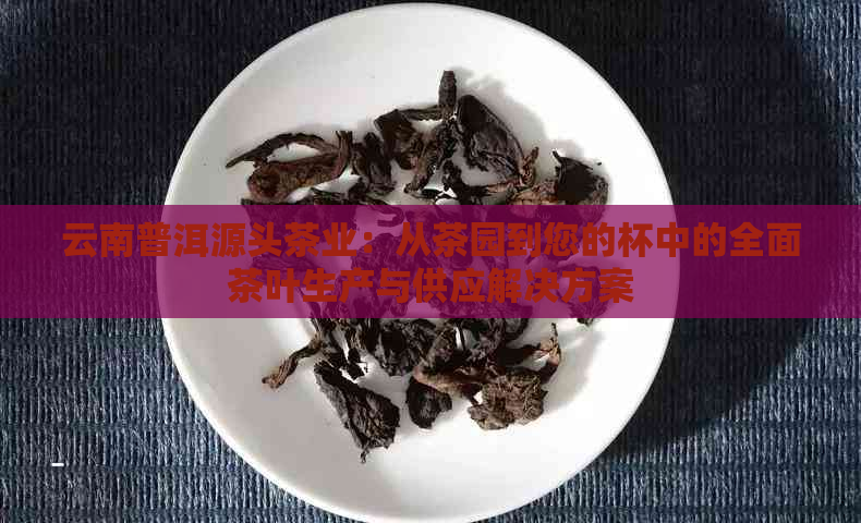 云南普洱源头茶业：从茶园到您的杯中的全面茶叶生产与供应解决方案