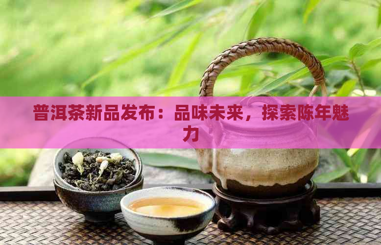 普洱茶新品发布：品味未来，探索陈年魅力