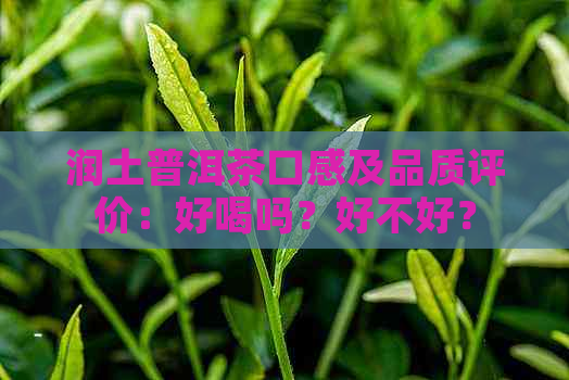 润土普洱茶口感及品质评价：好喝吗？好不好？