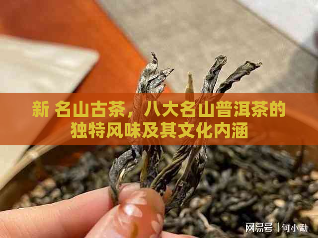 新 名山古茶，八大名山普洱茶的独特风味及其文化内涵