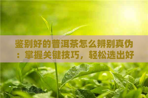 鉴别好的普洱茶怎么辨别真伪：掌握关键技巧，轻松选出好茶