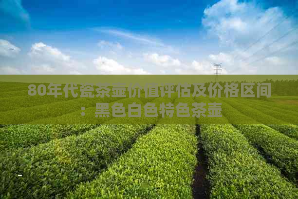 80年代瓷茶壶价值评估及价格区间：黑色白色特色茶壶