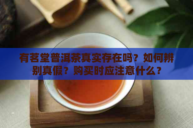 有茗堂普洱茶真实存在吗？如何辨别真假？购买时应注意什么？