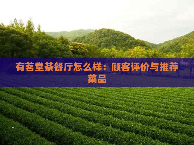 有茗堂茶餐厅怎么样：顾客评价与推荐菜品