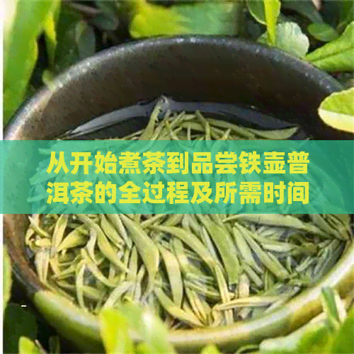 从开始煮茶到品尝铁壶普洱茶的全过程及所需时间解析