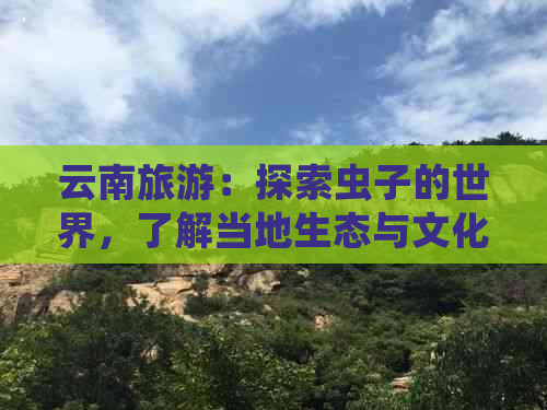 云南旅游：探索虫子的世界，了解当地生态与文化