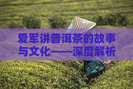 爱军讲普洱茶的故事与文化——深度解析爱军普洱茶及国系列