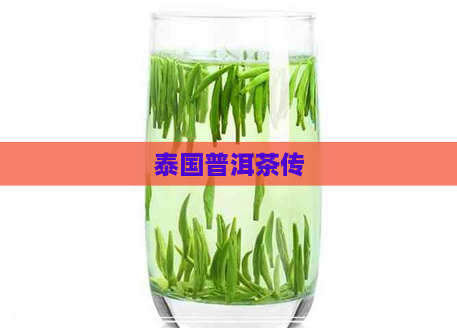 泰国普洱茶传