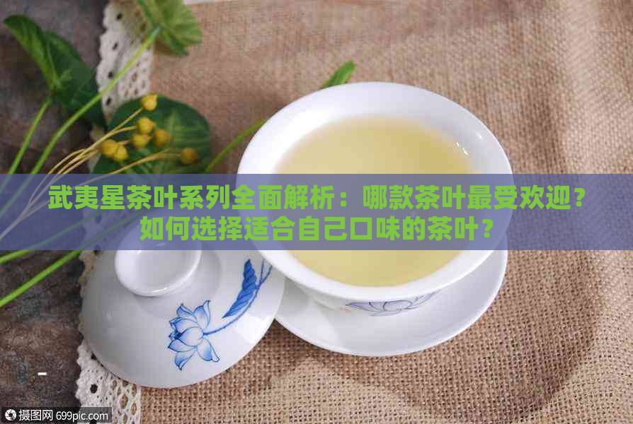 武夷星茶叶系列全面解析：哪款茶叶更受欢迎？如何选择适合自己口味的茶叶？