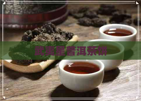 武夷星普洱茶饼