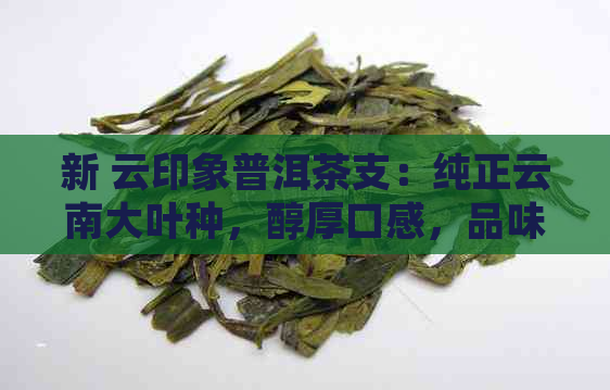 新 云印象普洱茶支：纯正云南大叶种，醇厚口感，品味悠长