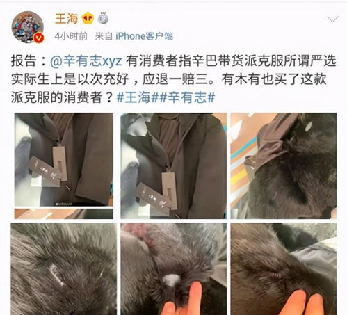 猫妹妹燕窝：揭露真相与影响，全方位解析消费者关注热点