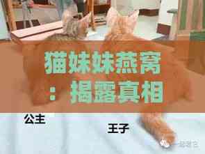 猫妹妹燕窝：揭露真相与影响，全方位解析消费者关注热点