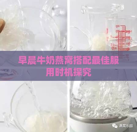 早晨牛奶燕窝搭配更佳服用时机探究