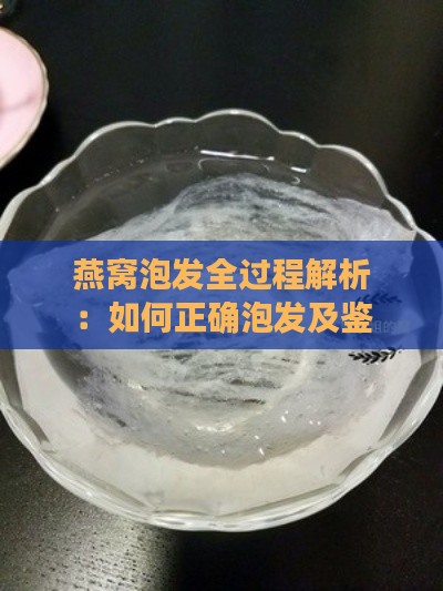 燕窝泡发全过程解析：如何正确泡发及鉴别燕窝品质