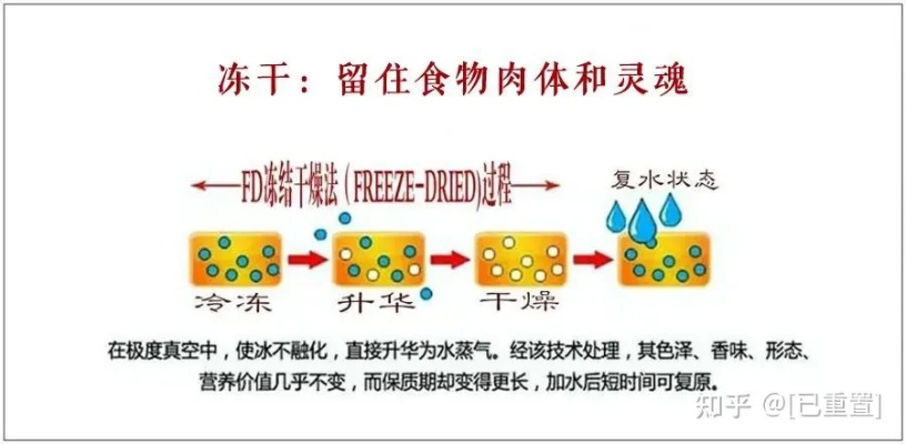 探索鲜泡燕窝：揭秘其独特的超临界干燥纳米工艺与技术革新