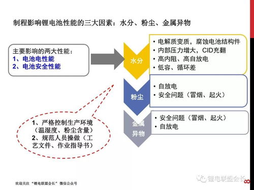 揭秘鲜泡燕窝：全方位解析其创新工艺与制作流程