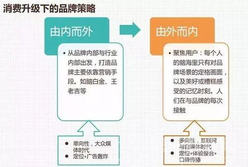 揭秘鲜泡燕窝：全方位解析其创新工艺与制作流程