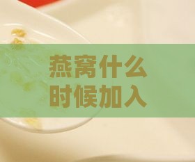 燕窝什么时候加入椰汁喝好：炖煮与椰浆添加时机及椰汁选择指南