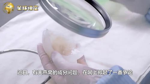 燕子产燕窝的品种是什么