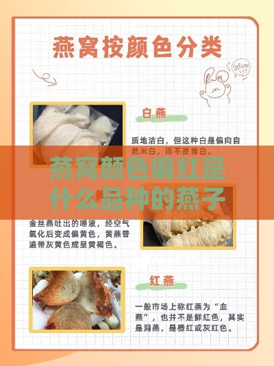 燕窝颜色偏红是什么品种的燕子及燕窝品种