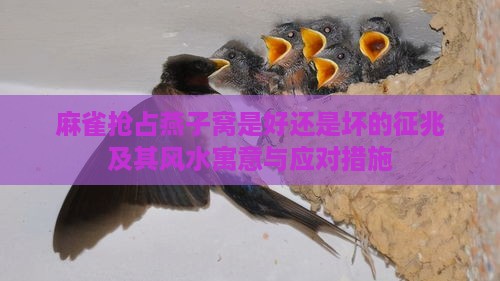 麻雀抢占燕子窝是好还是坏的征兆及其风水寓意与应对措施