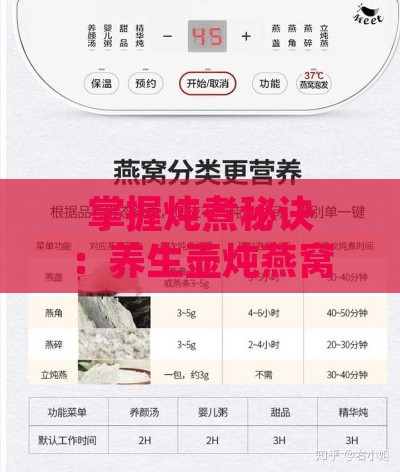 掌握炖煮秘诀：养生壶炖燕窝更佳档位选择指南