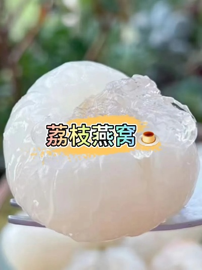 荔枝与燕窝的搭配食用指南：能否同食解析