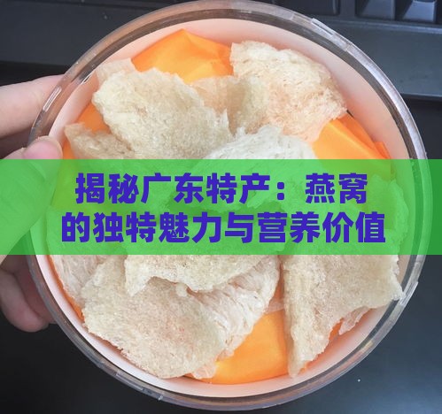 揭秘广东特产：燕窝的独特魅力与营养价值